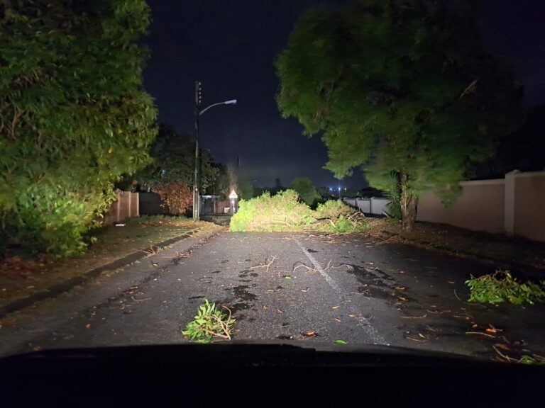 Alana Botha - Facebook Tree Down Beacon Bay
